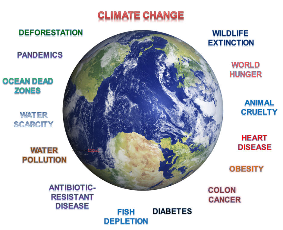 Inter-related Issues Inter-related Issues